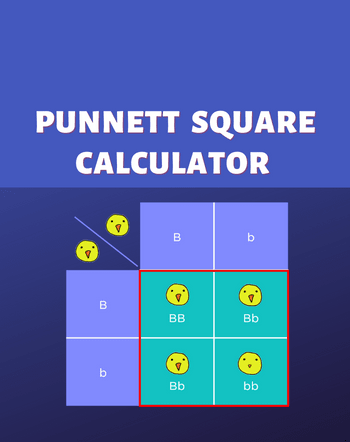 9 Best Free Online Punnett Square Calculator Websites